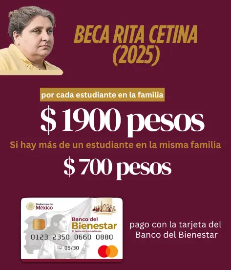 Beca Rita Cetina becaritacetina.gob.mx