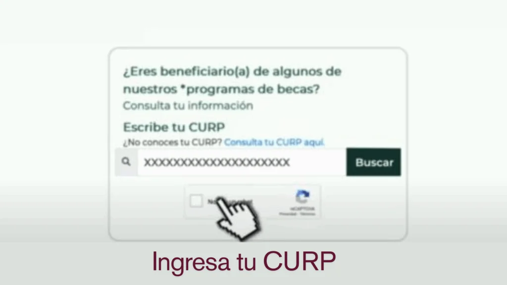 Ingresa tu CURP